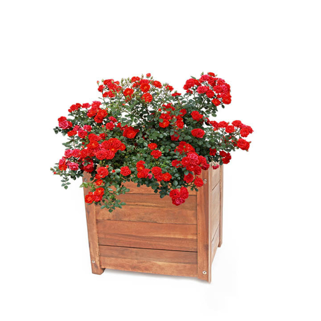 Chậu gỗ trang trí nội thất ban công Greenhome chịu nước tốt- màu gỗ tự nhiên- D40xR40xC40cm - xếp gọn dễ dàng vận chuyển và lắp đặt- chắc chắn, độ bền lên đến 2 năm
