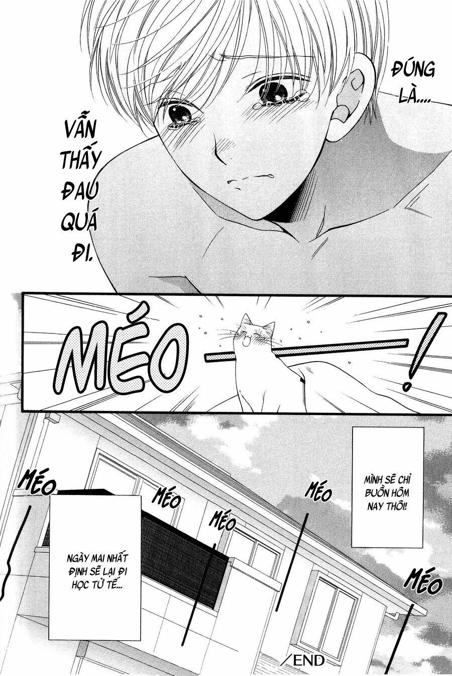 neko neko honey chapter 11 28