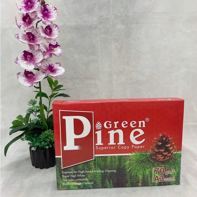 Giấy in, giấy photo Green Pine A3 ĐL 60gsm - 65gsm - 70gsm ( 500 tờ/1 ram) - Giấy In Văn Phòng