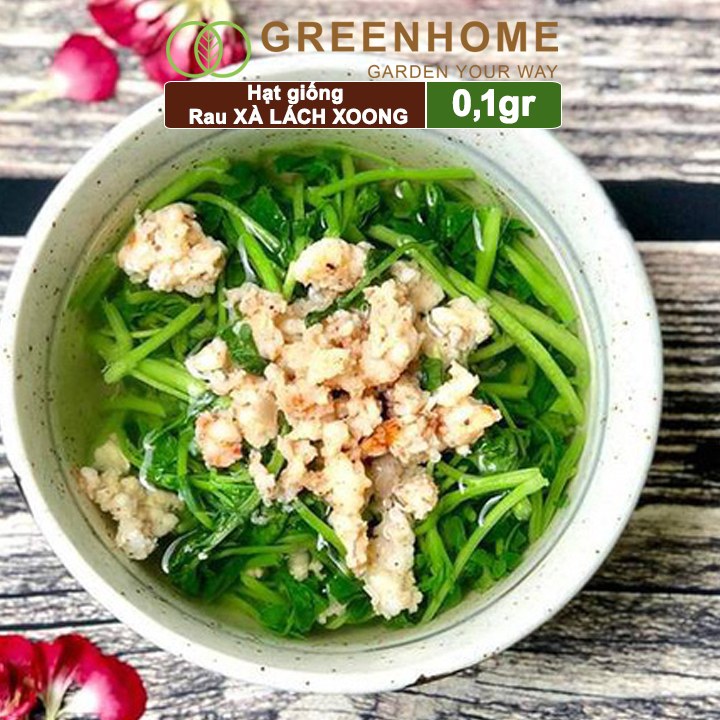 Hạt giống rau Xà lách Xoong ,gói 0.1g ,dễ trồng, thu hoạch nhanh R01