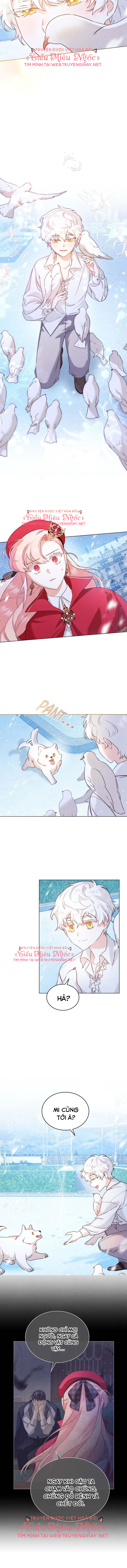 ánh sáng của bình minh chapter 12 7