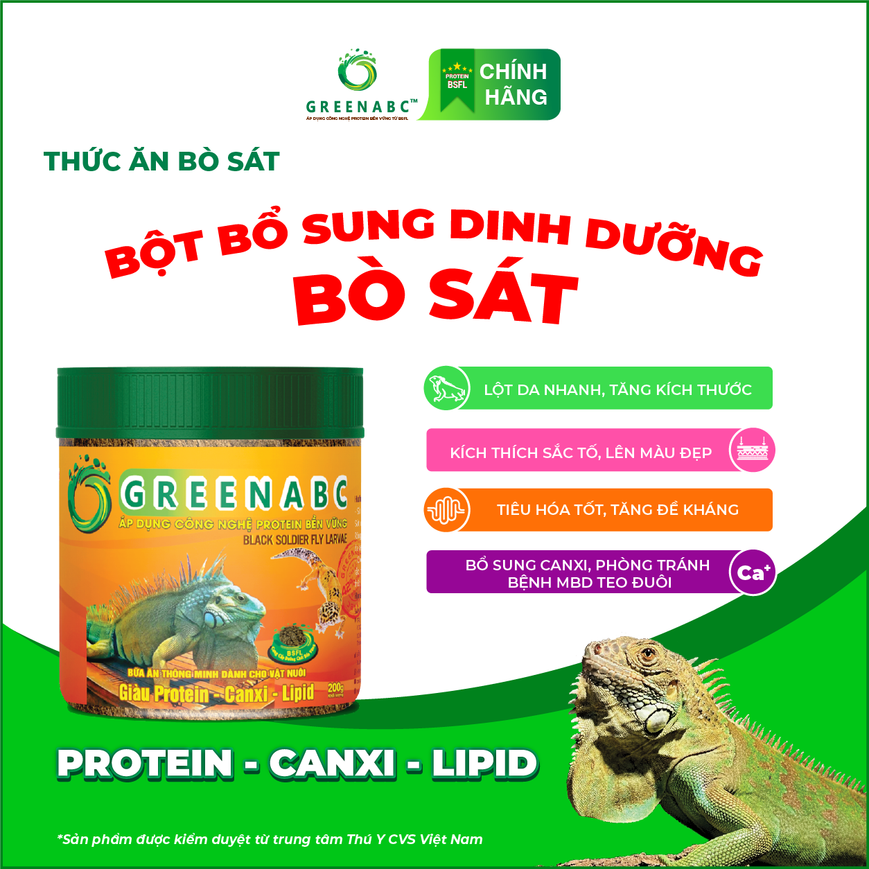 BÒ SÁT IGUANA RỒNG ÚC - Thức ăn bò sát bổ sung dinh dưỡng cho RỒNG NAM MỸ, RỒNG ÚC cho TĂNG SIZE, TĂNG MÀU, ĂN NGON, CANXI 1.33% giúp GAI TRÒN BUNG ĐỀU, GÙ CAO, TRÁNH BỊ MBD, TEO ĐUÔI