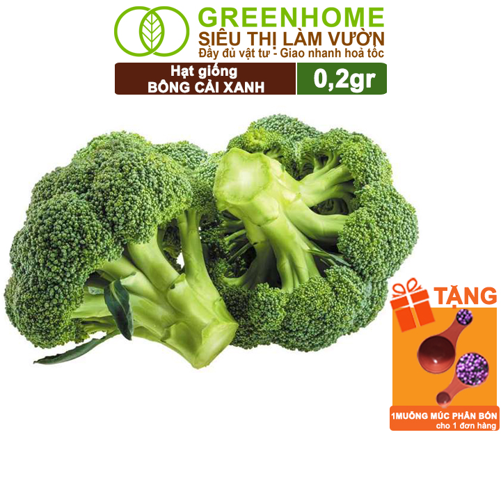 Hạt Giống Súp Lơ Xanh Greenhome, Gói 5g, Dễ Trồng Quanh Năm, Nảy Mầm Cao, Thu Hoạch Nhanh, T10