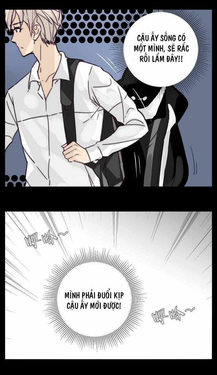 lấp lánh tình yêu kẹo bạc hà chapter 65 6