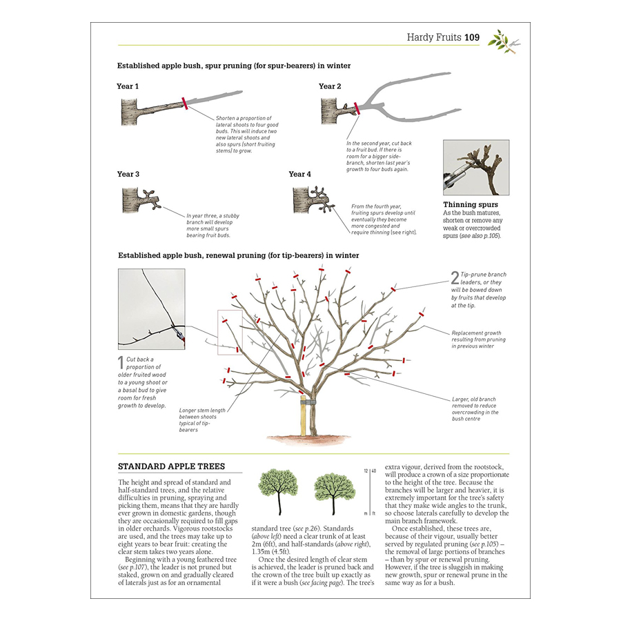 RHS Pruning &amp; Training