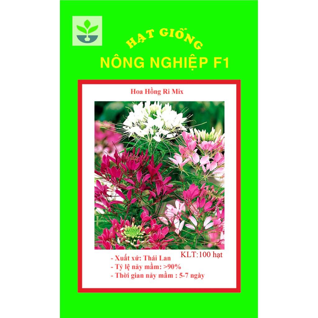 Gói 100 hạt giống hồng ri mix