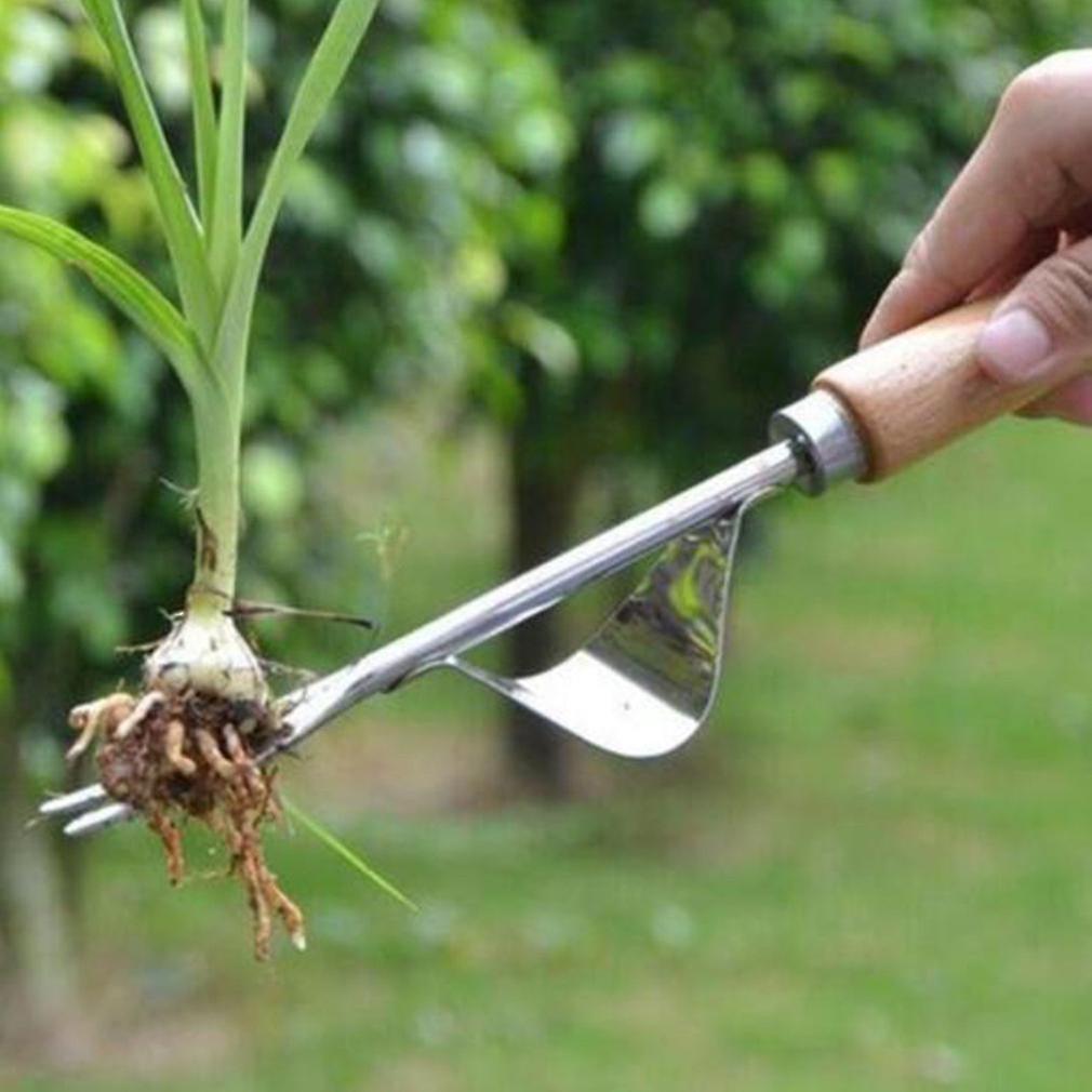 2 Công cụ làm vườn bằng thép không gỉ STK, công cụ làm cỏ được quản lý bởi máy chiết cỏ cho vườn cỏ