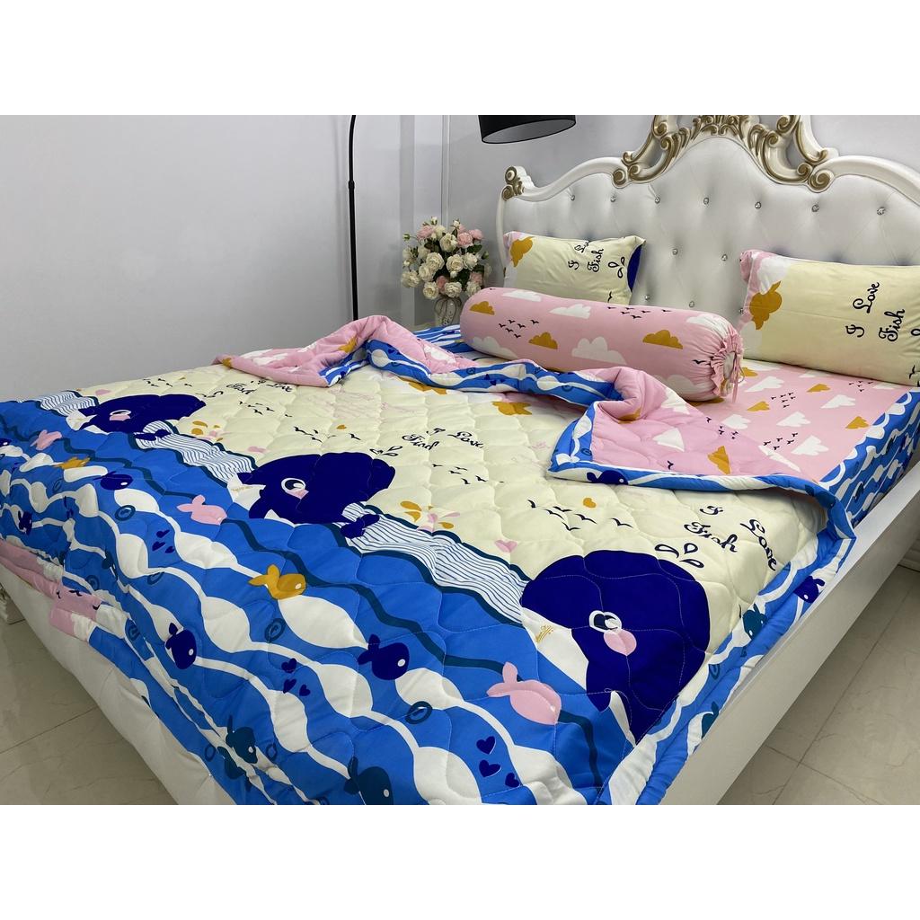 Bộ Drap kèm mền Thun Hàn Quốc ( 5 món } đủ size hoặc mền lẻ