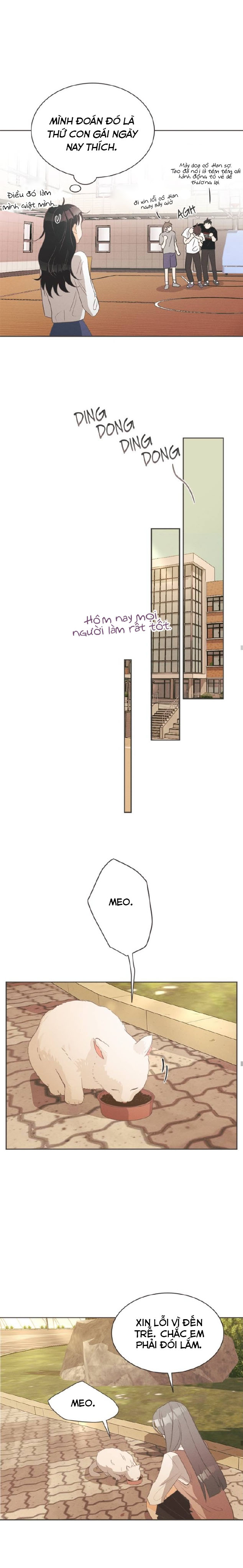 giấc mộng đêm hè chapter 1 41