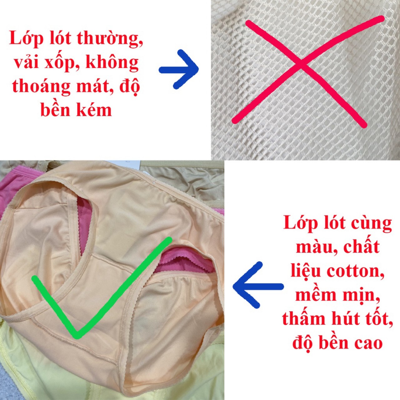 Combo 10 Quần Lót Nữ Cotton Thái Siêu Mịn (Freesize 40-57kg) - Chất Liệu Thấm Hút Và Co Giãn 4 Chiều Tốt - TADA