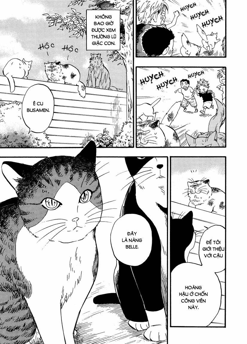 tui là busamen! chapter 7 6