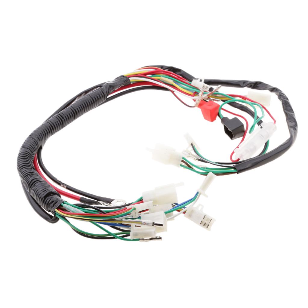 Wiring Coil Stator CDI Loom Electric Start for 110cc 125cc 250cc Pit Bike