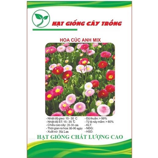 Hạt giống hoa cúc anh nhiều màu CT415 - Gói 50 hạt