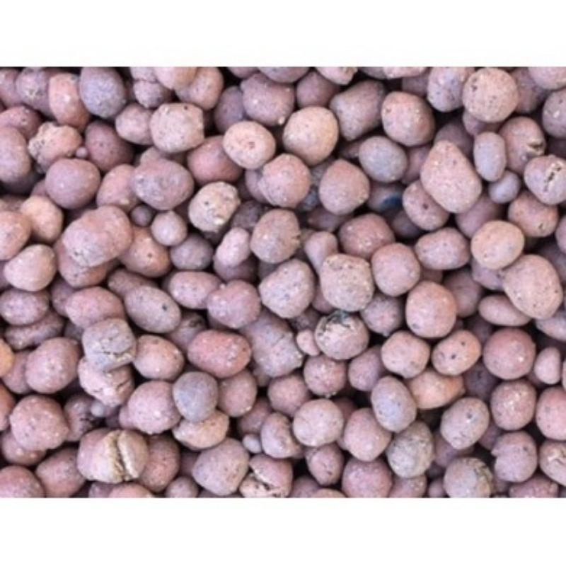 1kg đất nung dùng để trồng lan, trồng rau thủy canh