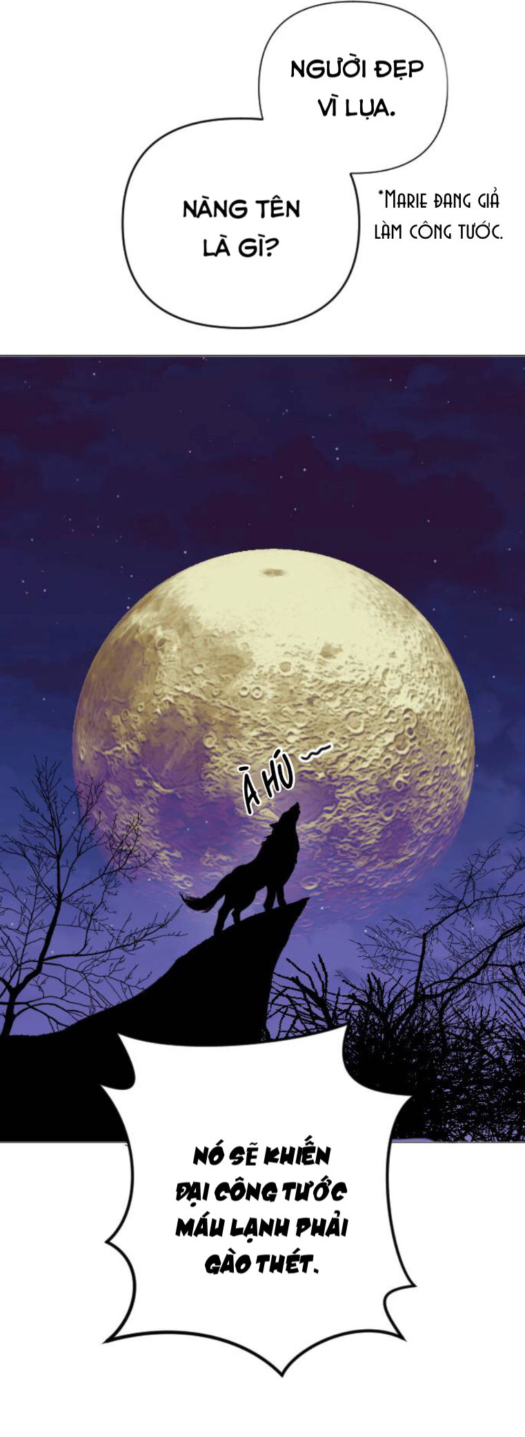 lựa chọn cuối cùng của tôi là nam phụ chapter 15 14