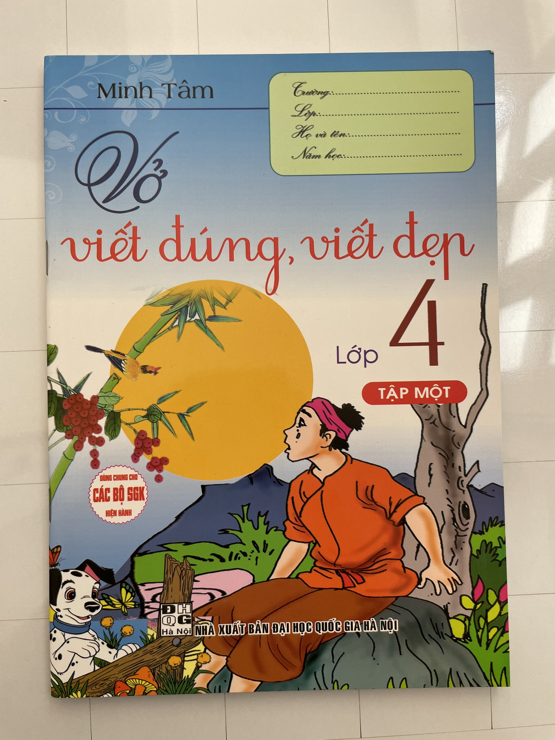 Vở Viết Đúng, Viết Đẹp Lớp 4 (Dùng Chung Cho Các Bộ SGK Hiện Hành) (PĐL)