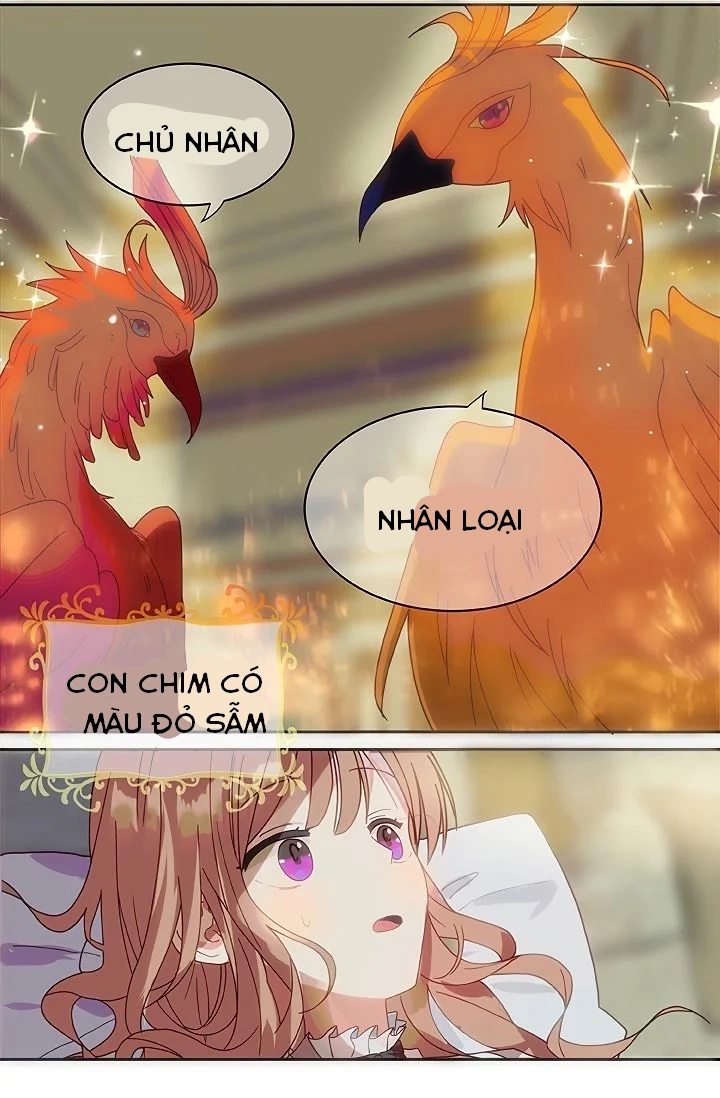 tôi đã tuyên bố một lời thề chapter 1 25