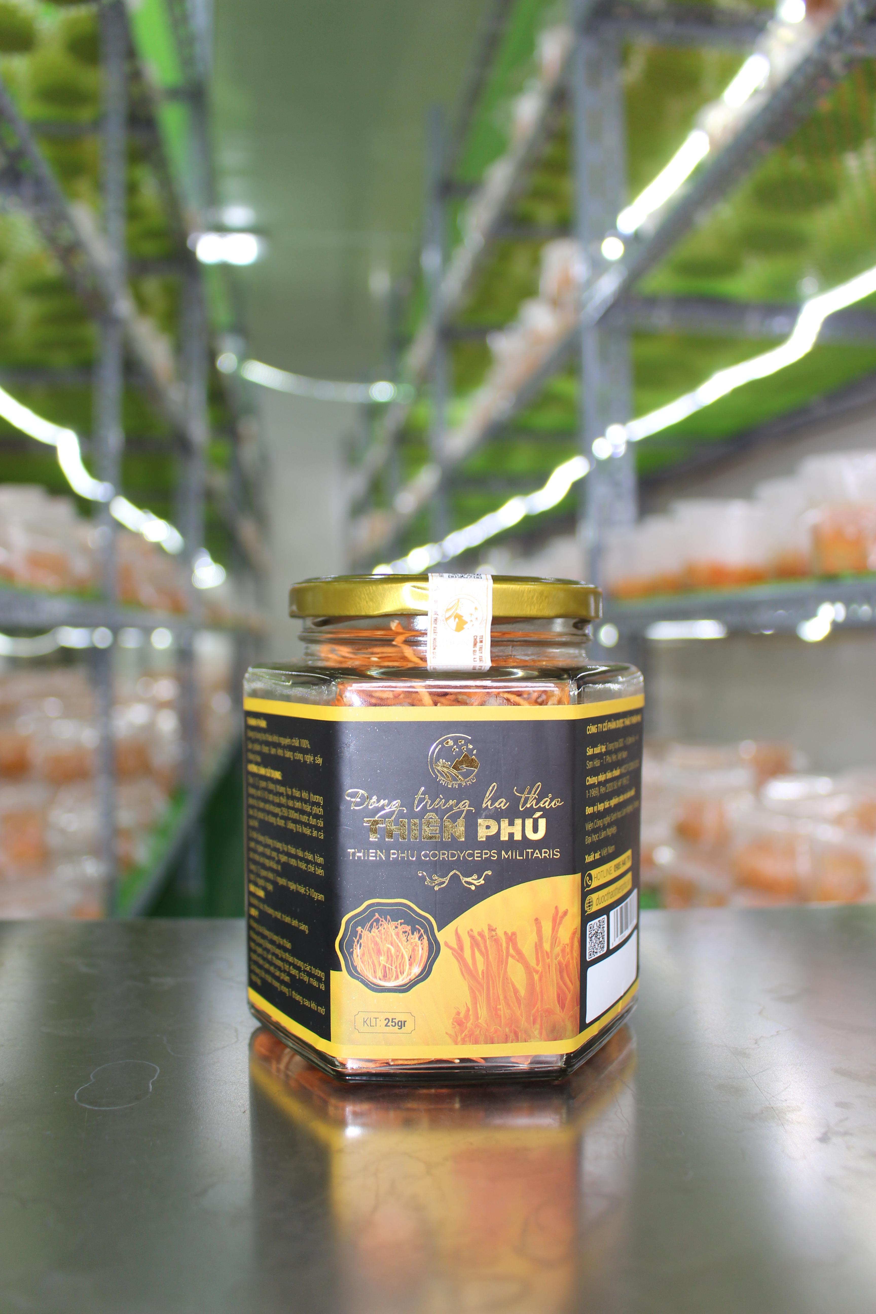 Đông trùng hạ thảo sấy thăng hoa