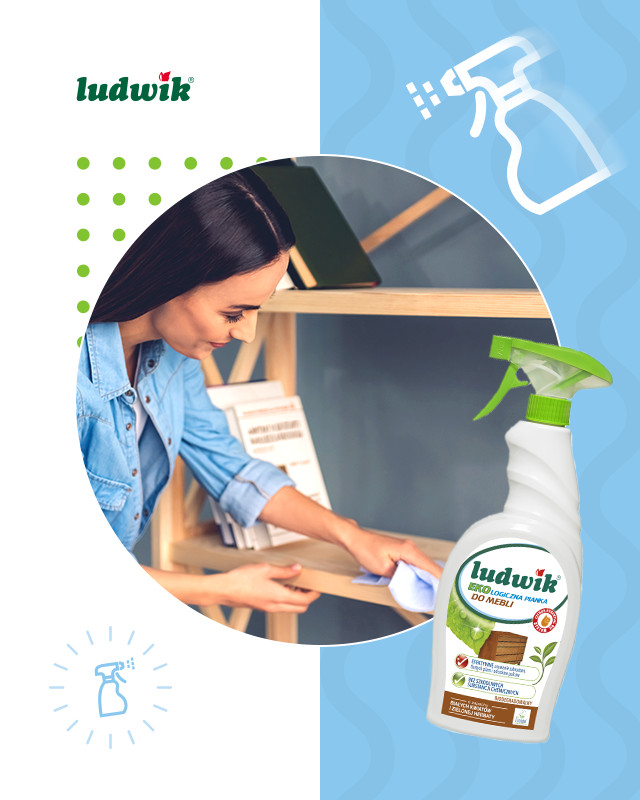 Dung dịch vệ sinh nhà bếp Ludwik eco-loại 750 ml