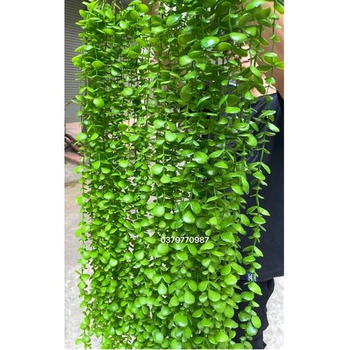 Dây leo giả cúc tần ấn độ Lá To dài 1m- Cây giả