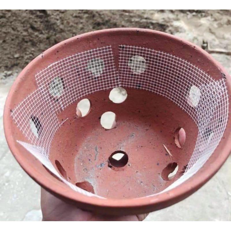 Băng dính lưới thạch cao dùng để lót chậu lan tránh rơi vãi giá thể