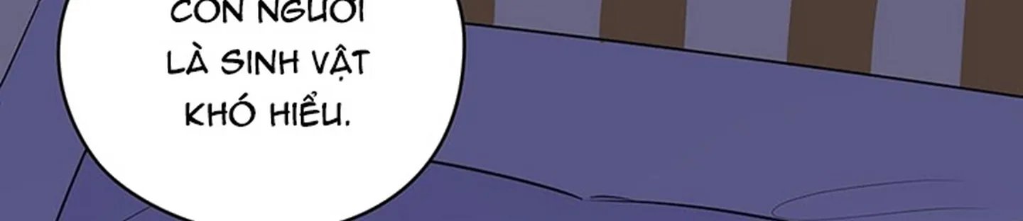chuyện quái gì với giấc mơ đó vậy chapter 19 453