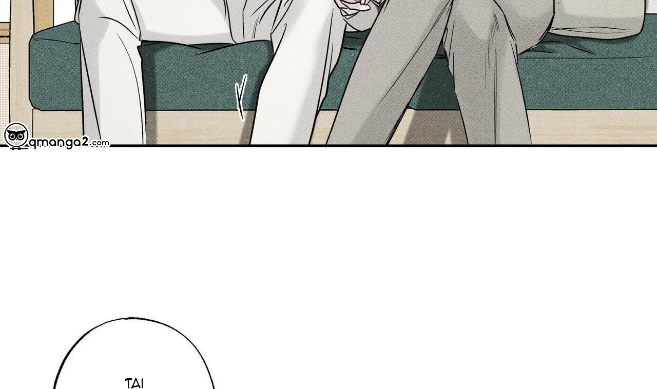 chàng giao pizza và gold palace chapter 15 54