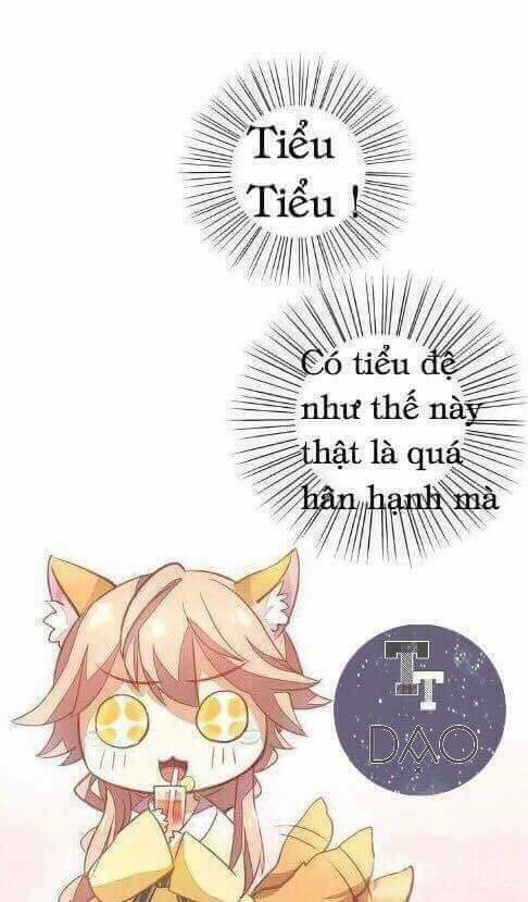 dưới móng vuốt mèo chapter 3 40