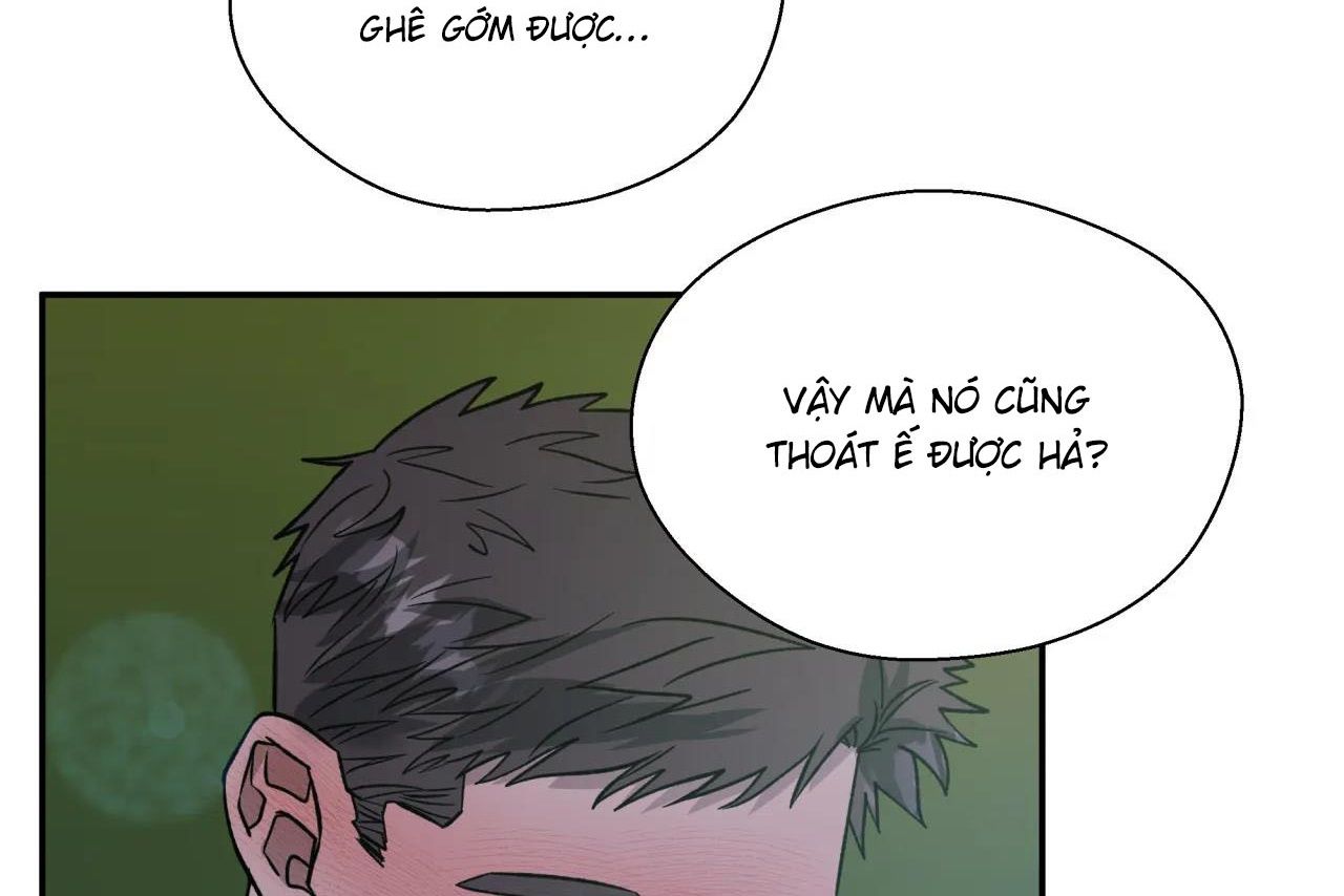 ám ảnh pheromone chapter 62 9