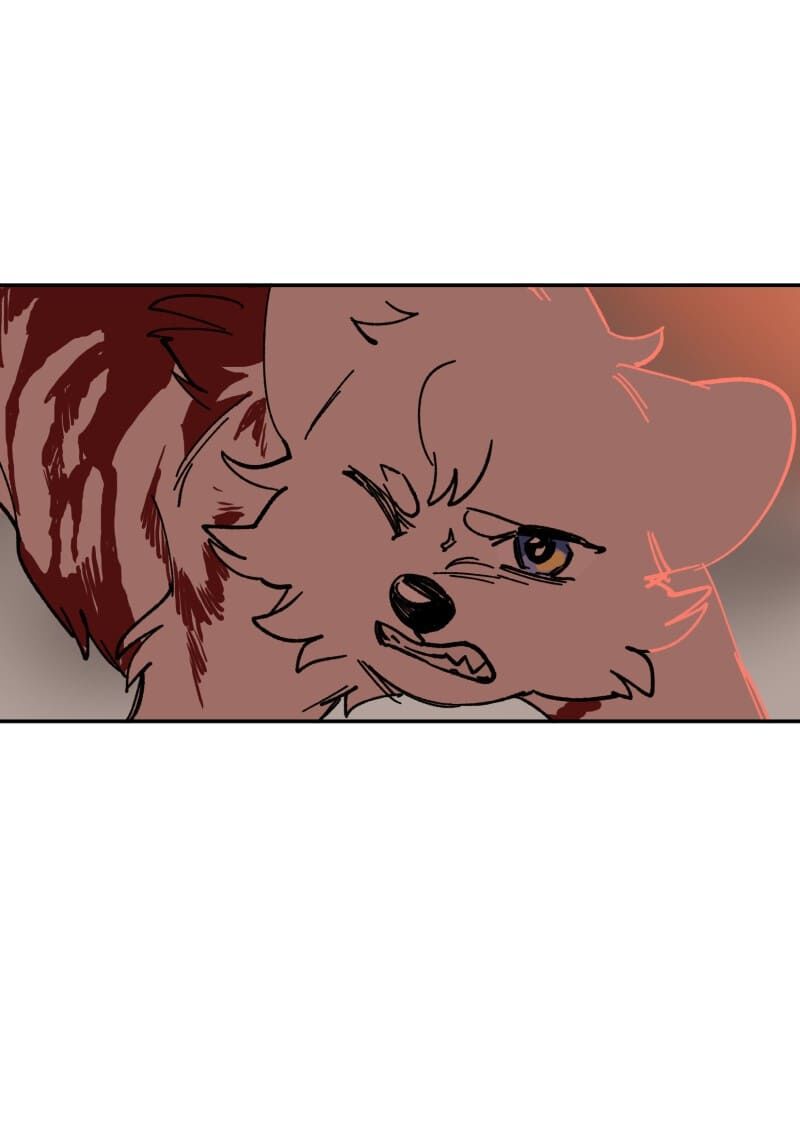 lumine - cội nguồn ánh sáng chapter 110 30