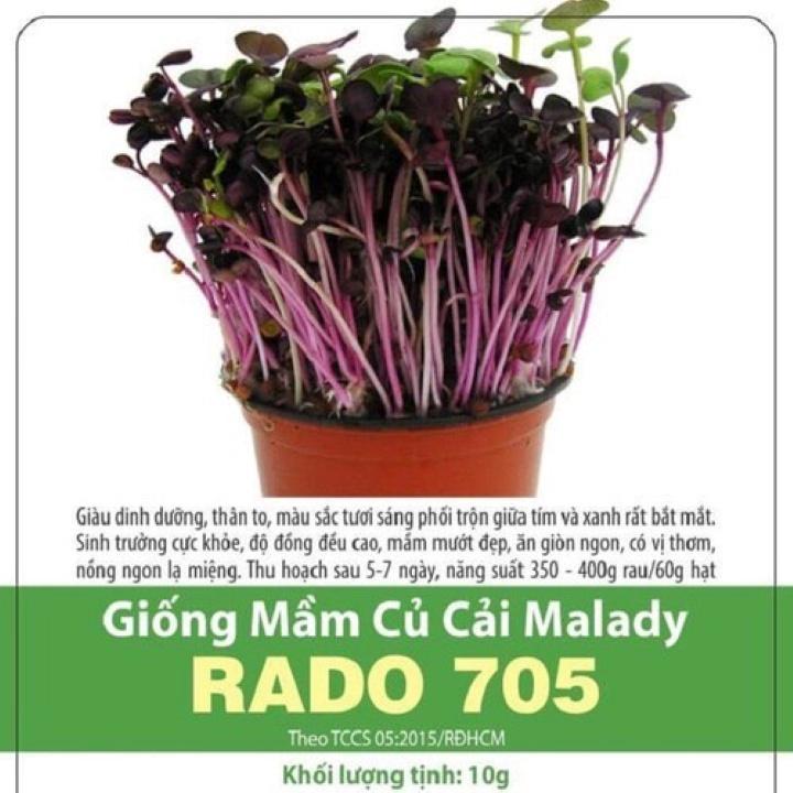 Hạt giống mầm củ cải Malady Rado 705 RD gói 10gr