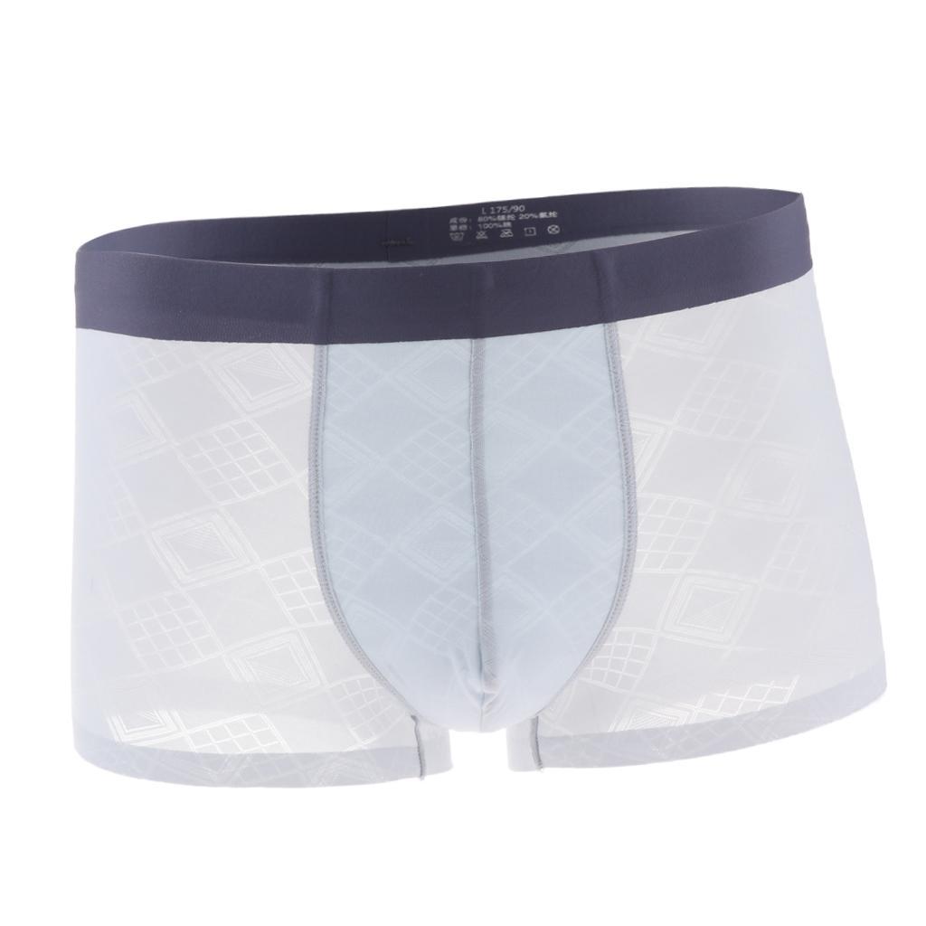 Mens Sexy Translucent Pouch Briefs Underwear Bulge Pouch Panties