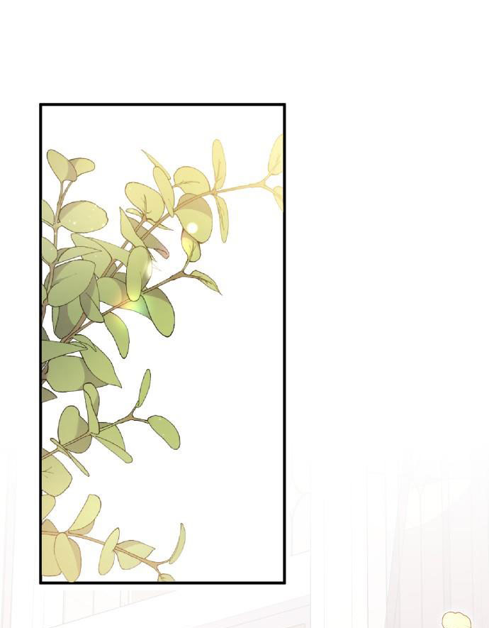 tôi sẽ ly hôn với người chồng bạo chúa chapter 43.1 7