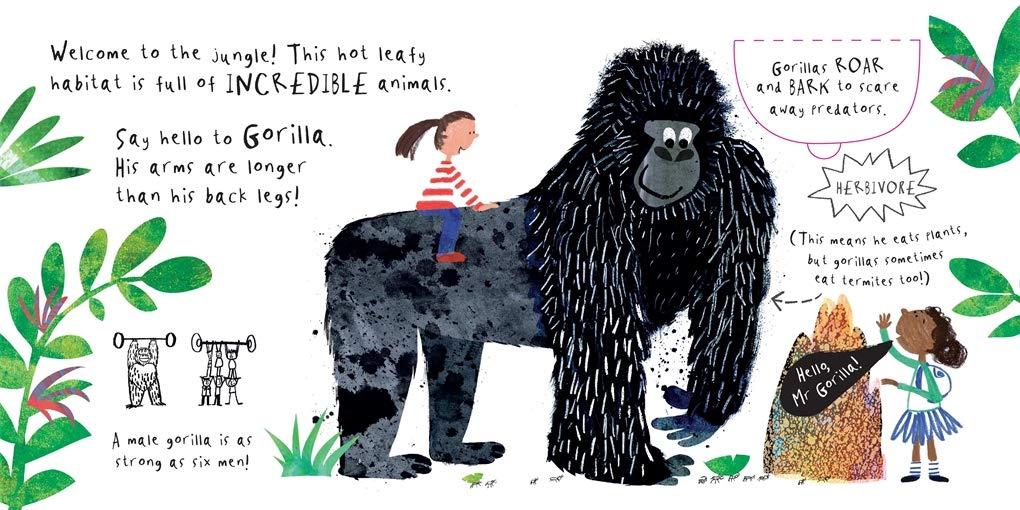 Sách ngoại văn: A Lift The Flat Book - Hello, Mr Tiger!