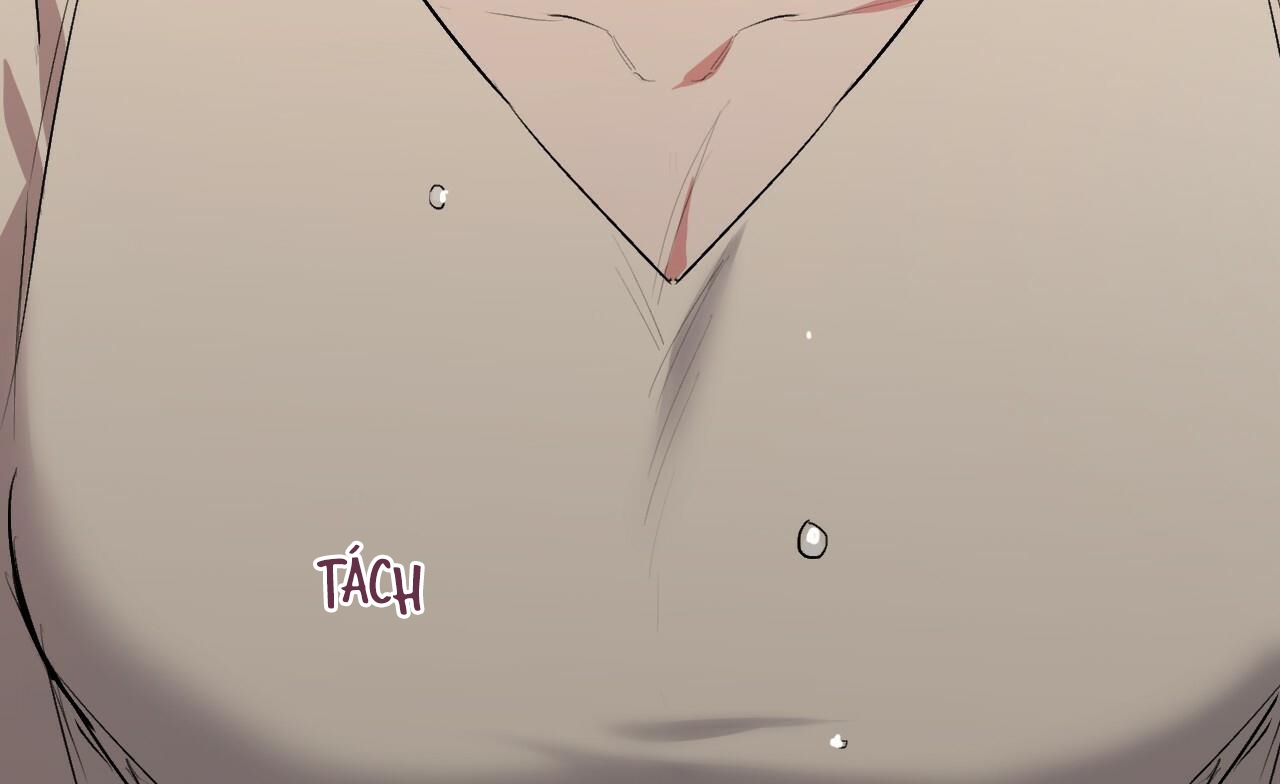 đàn thỏ của habibi chapter 45 187