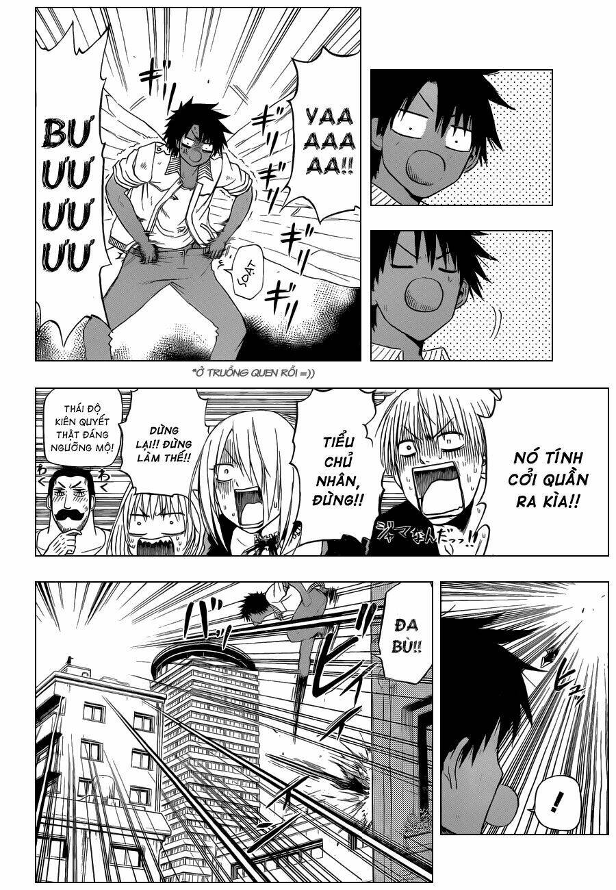 beelzebub - vua quỷ chapter 109 7