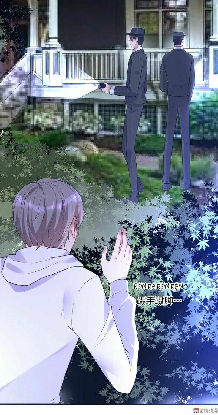 tổng tài truy thê: phu nhân đừng hòng trốn chapter 33 8