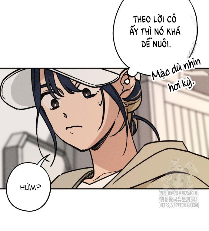 Mối Quan Hệ Đặc Biệt chapter 16.1 8