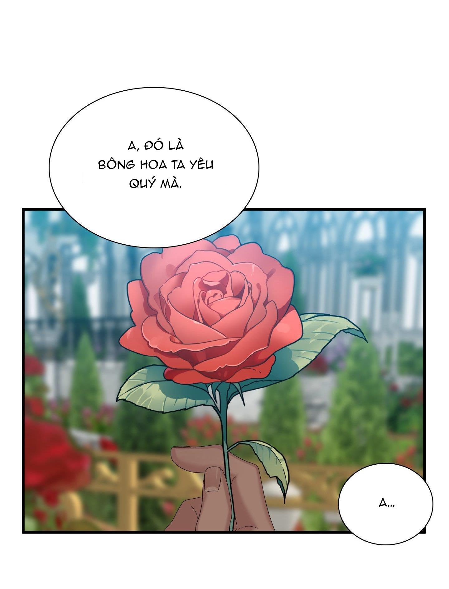 smyrna và capri chapter 42 20