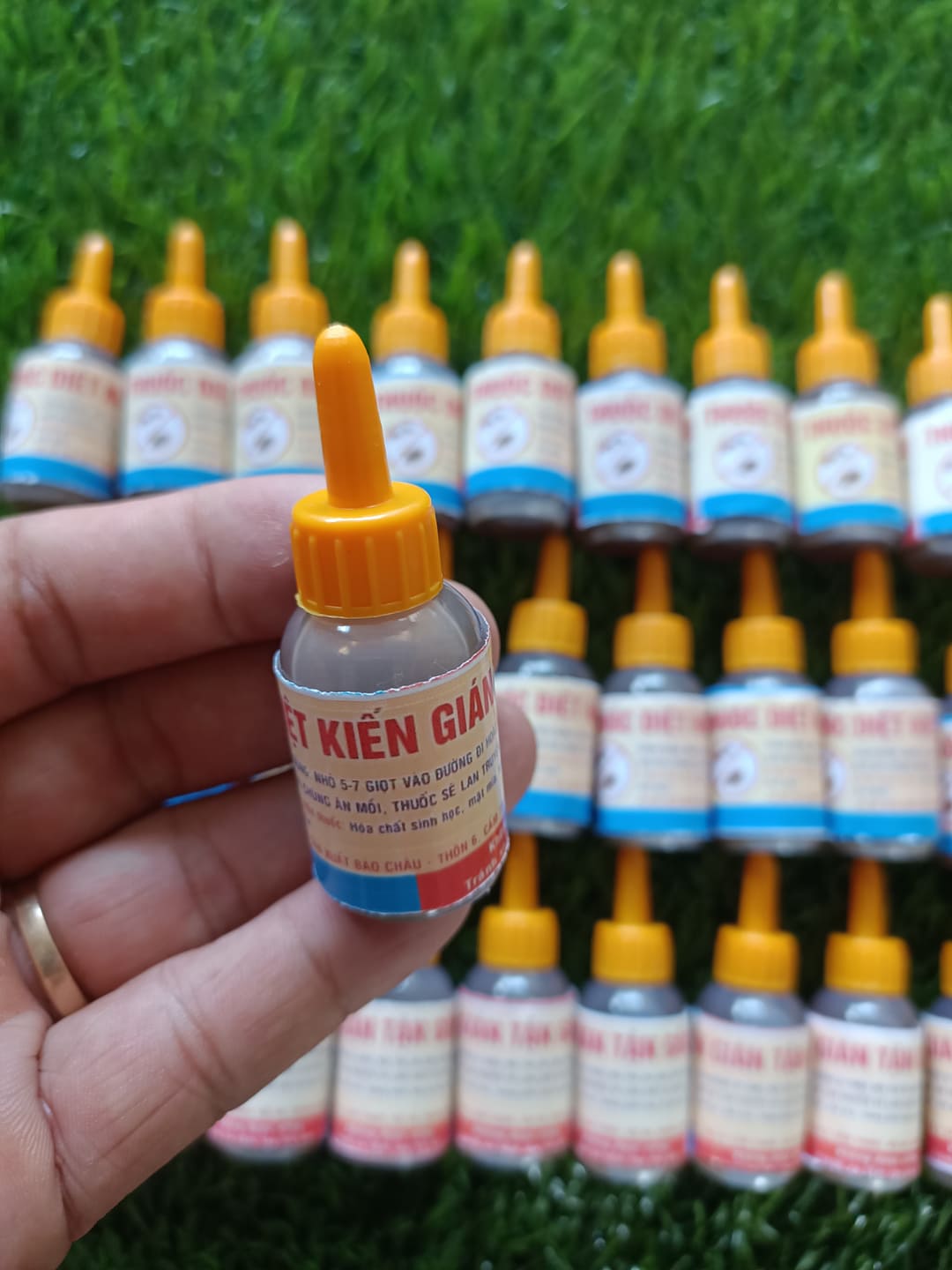 100 lọ thuốc diệt kiến gián sinh học