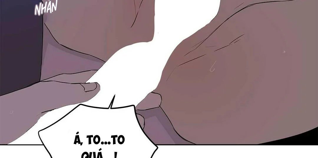 guide cấp b chapter 21 77