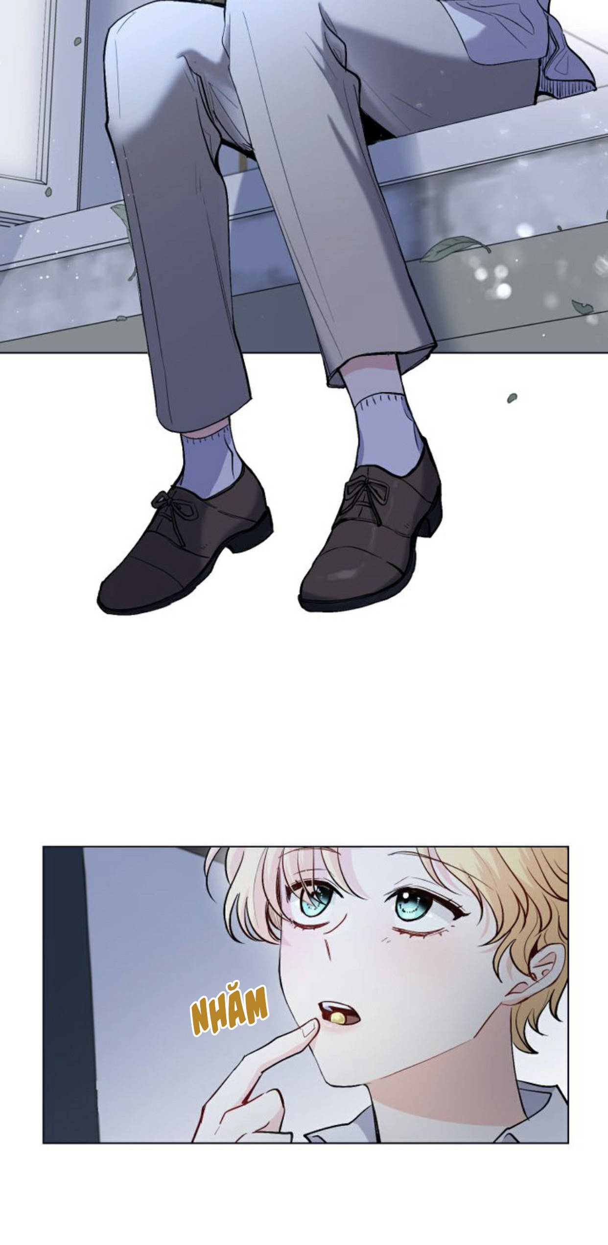 tìm lại nàng camellia chapter 14 12