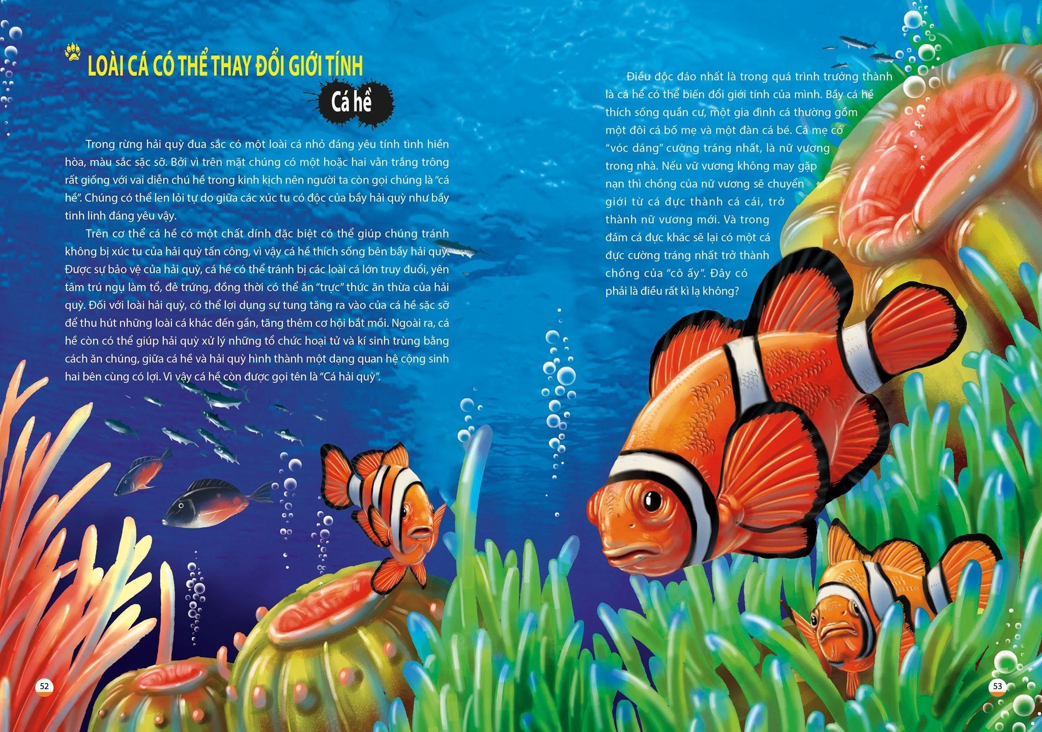 Khám Phá Thế Giới Động Vật Kì Thú: Thế Giới Của Các Loài Vật Kì Quái