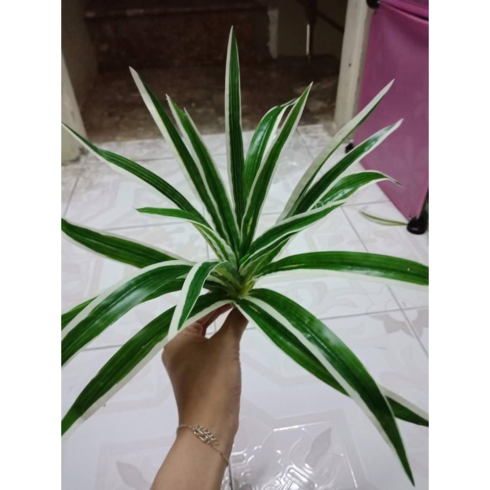 Cụm tóc tiên trang trí. cụm điểm cao cấp, trang trí nhà hàng, tường cỏ