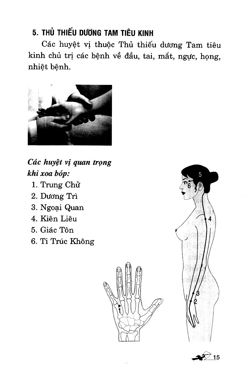 Day Ấn Xoa Bóp Trị Liệu 20 Bệnh Thường Gặp