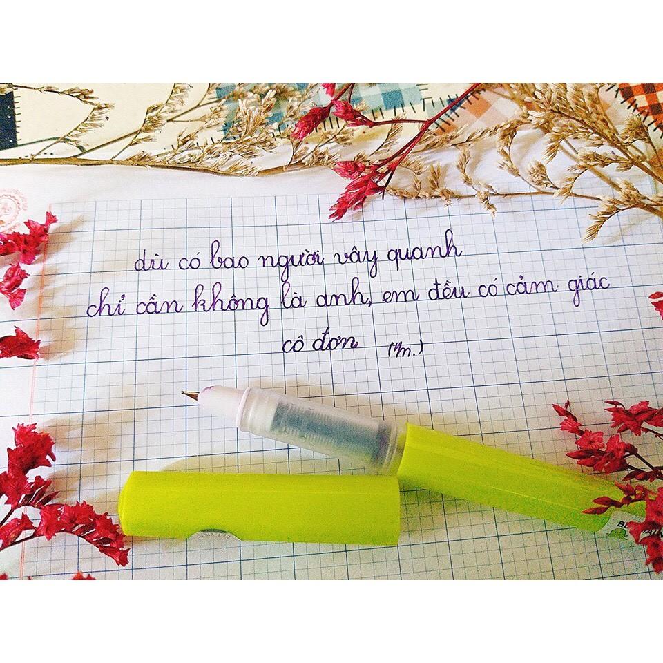 Bút máy luyện chữ đẹp Nét Việt NV001 ngòi kim tinh thanh đậm