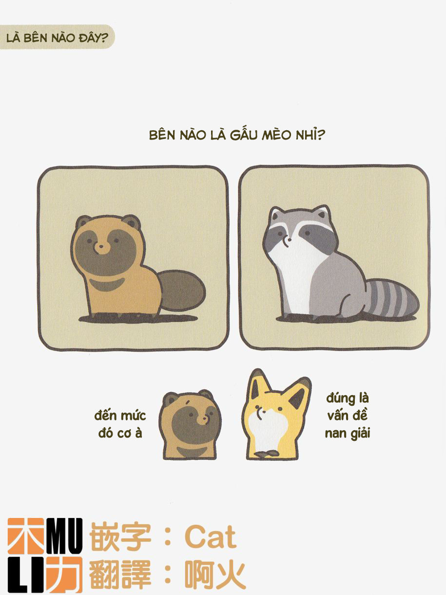 cáo và gấu mèo chapter 6 12