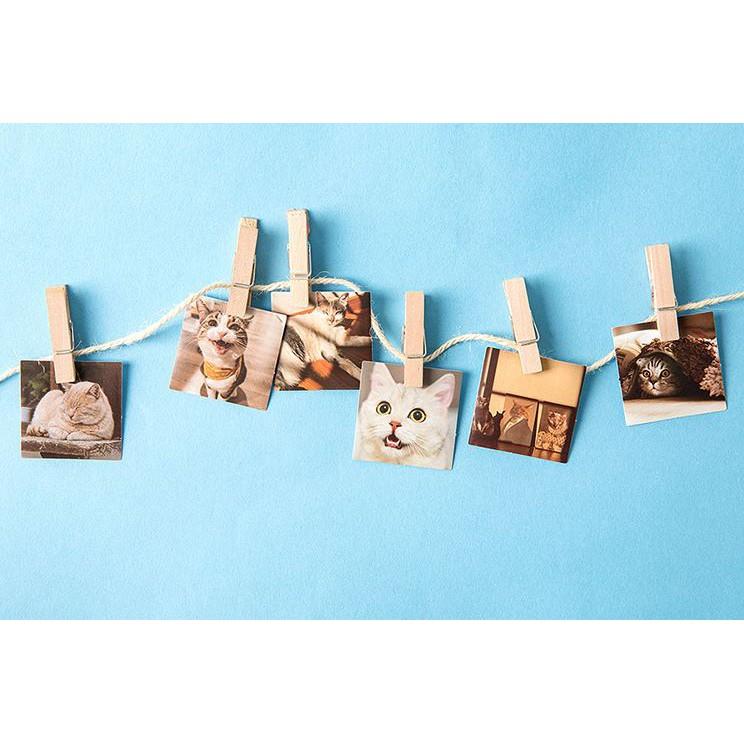 Bộ 46 Sticker Mèo Hàn Quốc dán trang trí E80