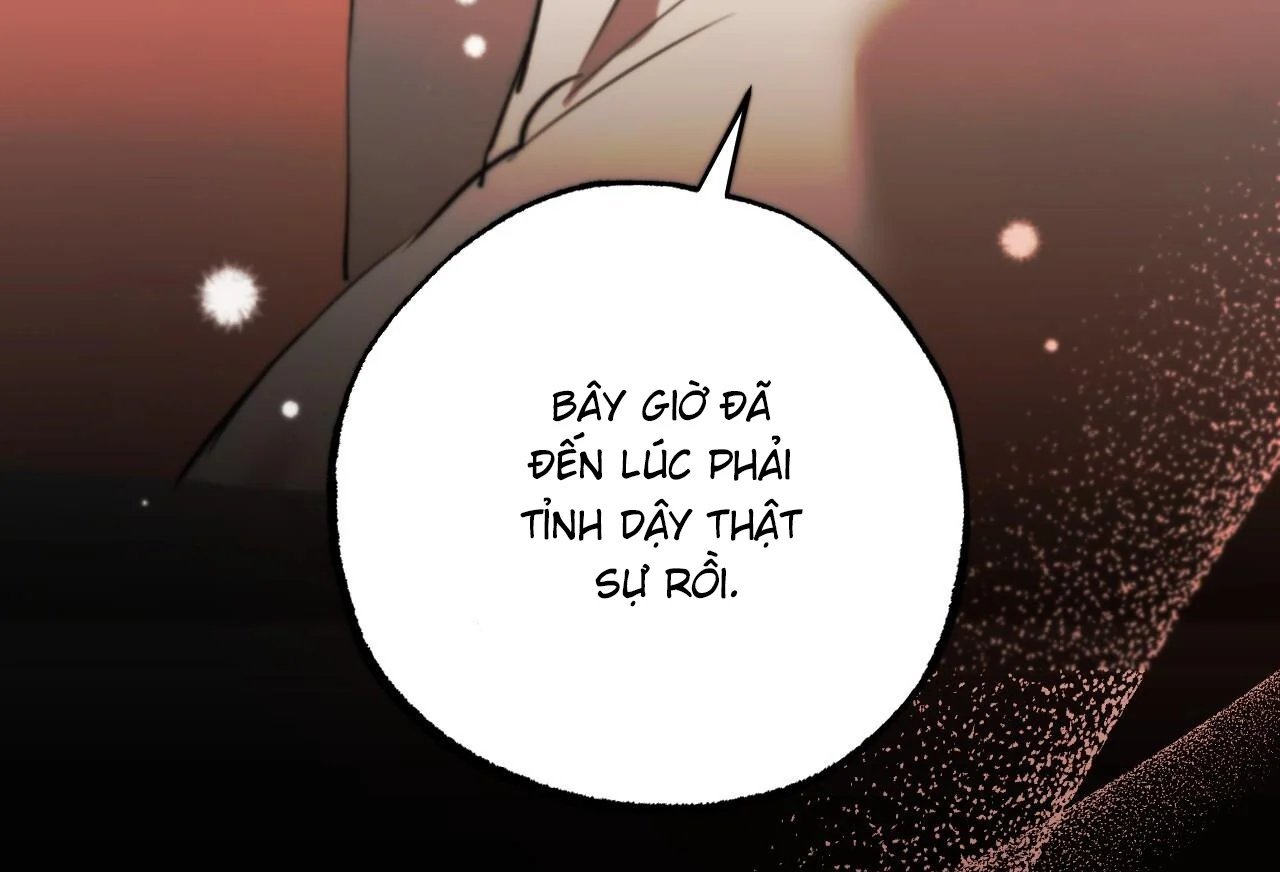 những chú thỏ của hapypy chapter 65 69