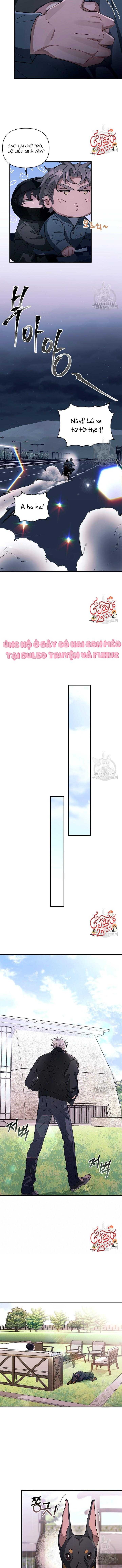 vết cắn tình yêu chapter 27 4